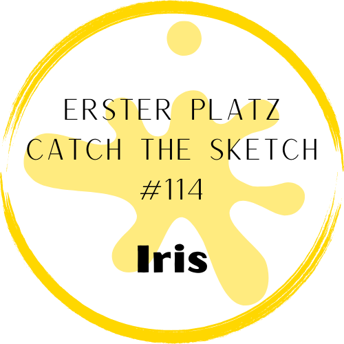 Erster Platz Catch The Sketch 114 Gold Badge