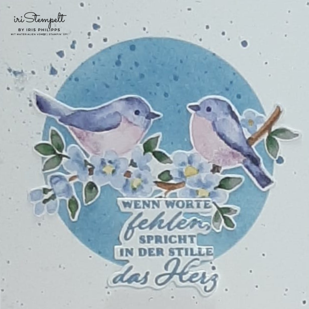 Trauerkarte mit Vögelchen aus der SAB